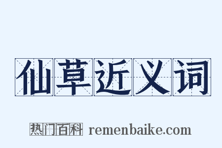 仙草近义词是什么意思的图片